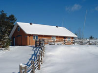 shop in winter